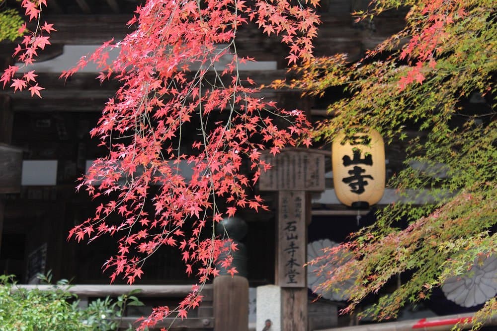 Ishiyamadera Temple cover image