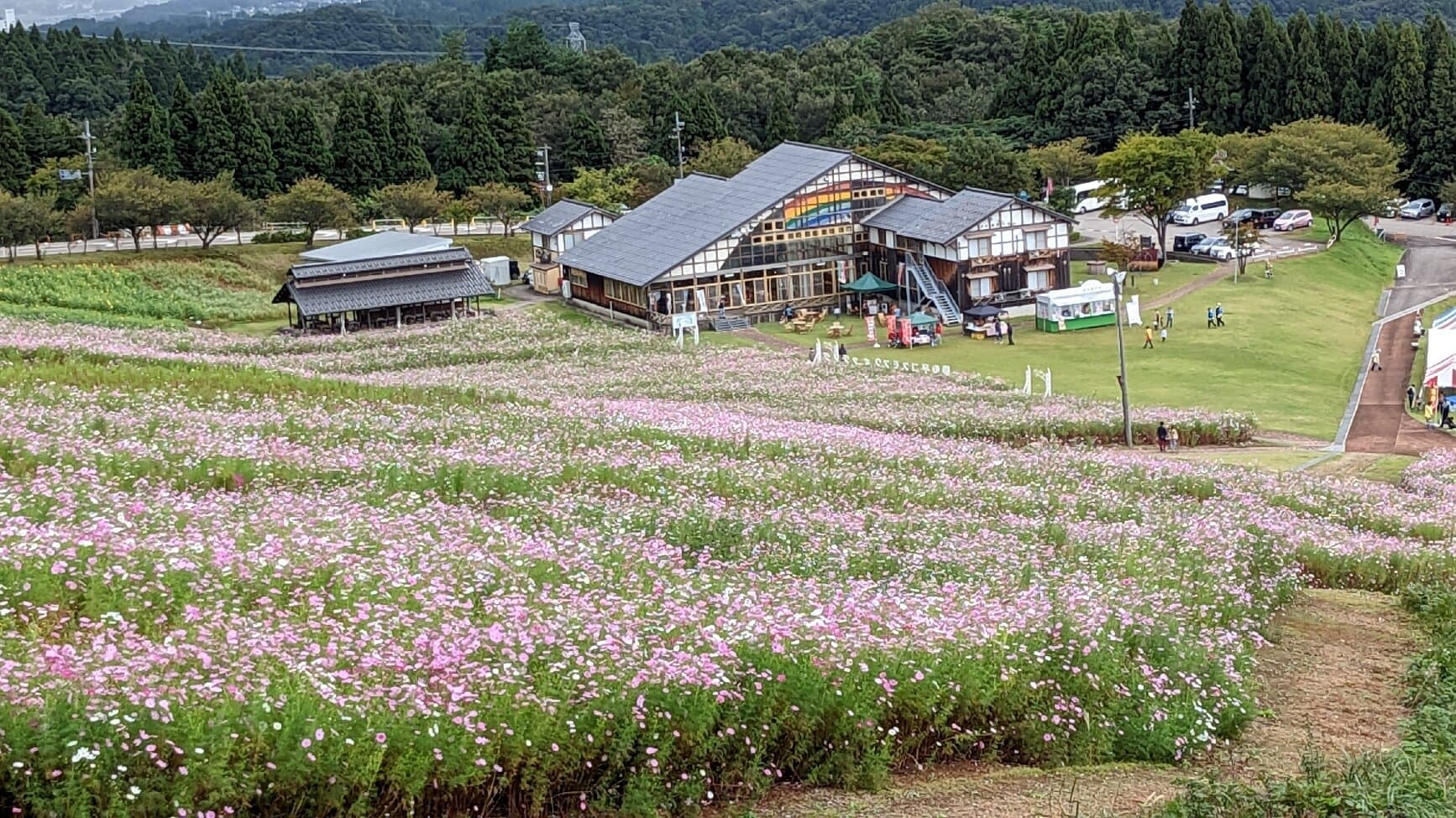 Tonami Yumenotaira