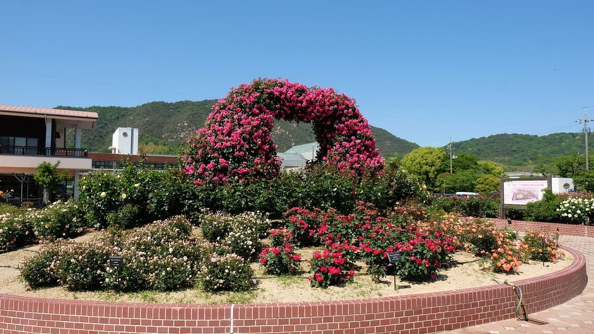 Yoshiumi Rose Park