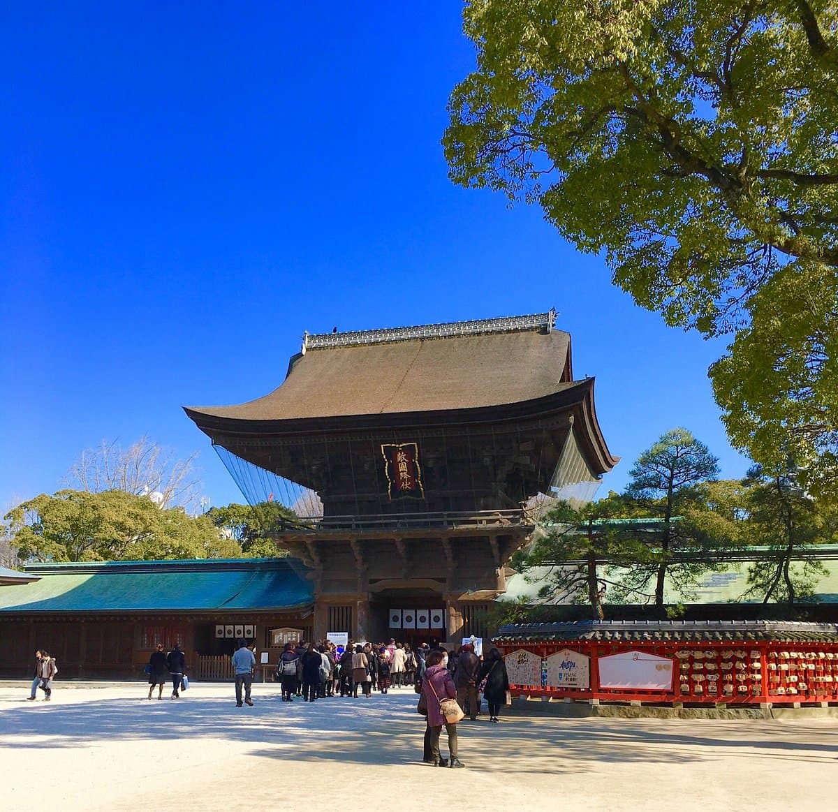 Hakozaki-gu cover image