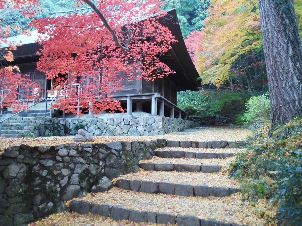 Daikokuji Temple cover image