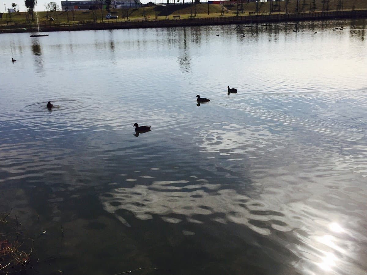 Kazusa Sarashina Park