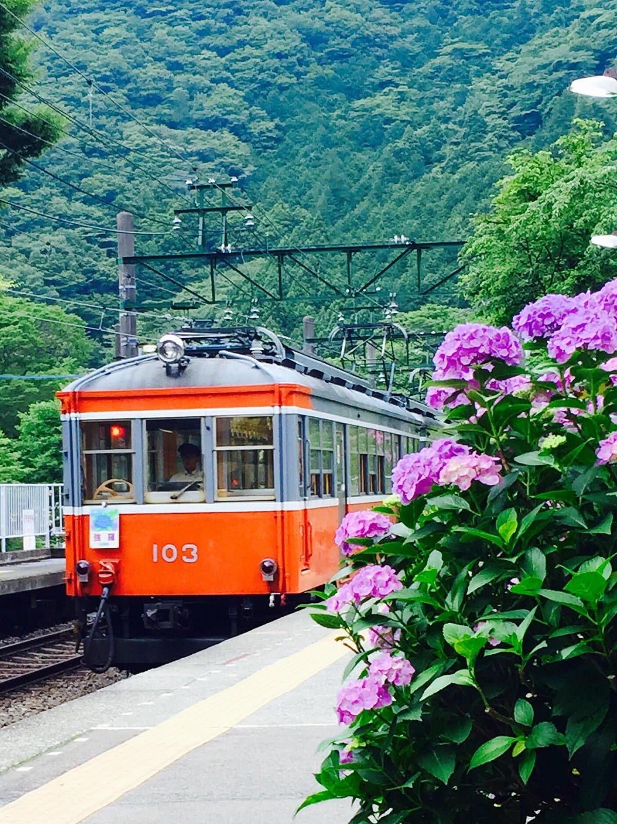 Hakone Tozan Railway cover image