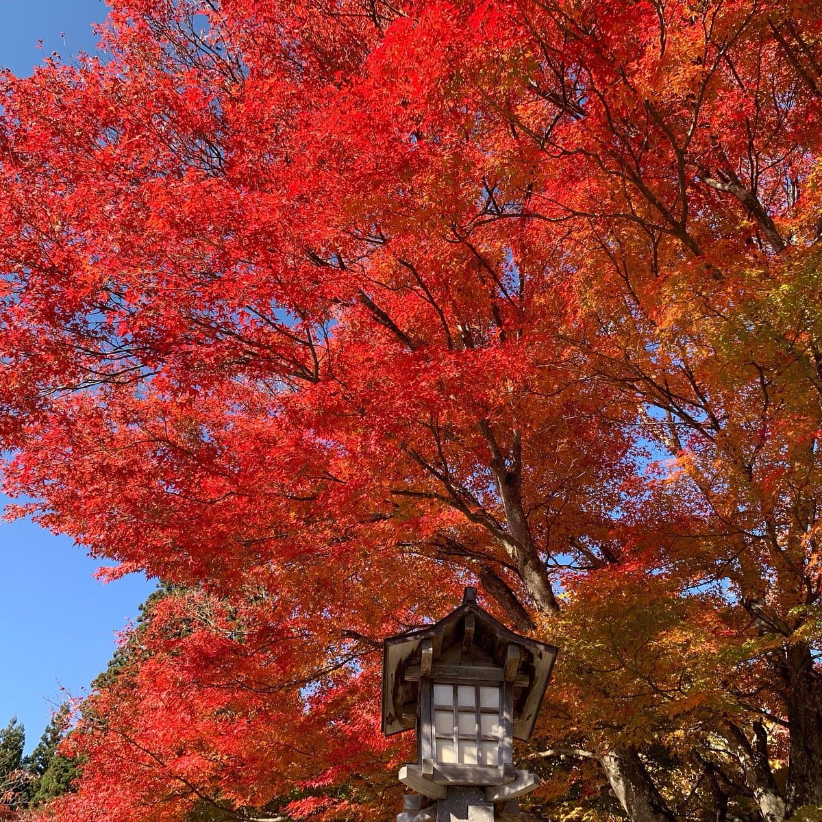 Hanitsu Shrine