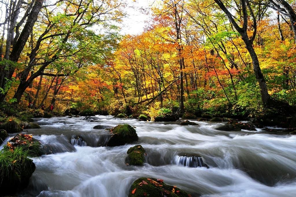 Oirase River