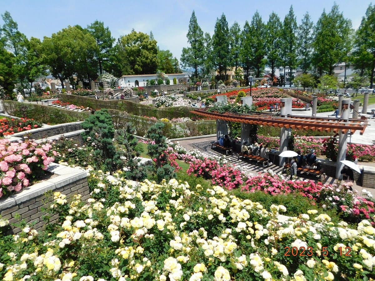 Aramaki Rose Garden
