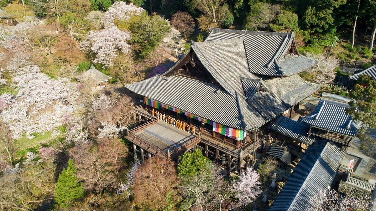 Hasedera Temple cover image