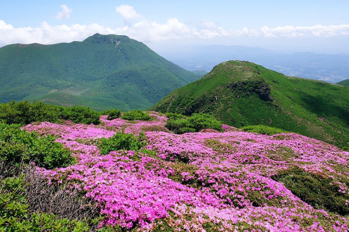 Kuju Mountains