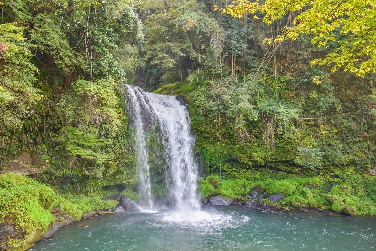 Jion Falls