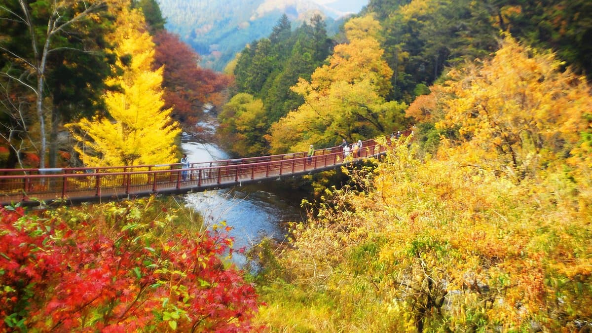 Akigawa Valley cover image