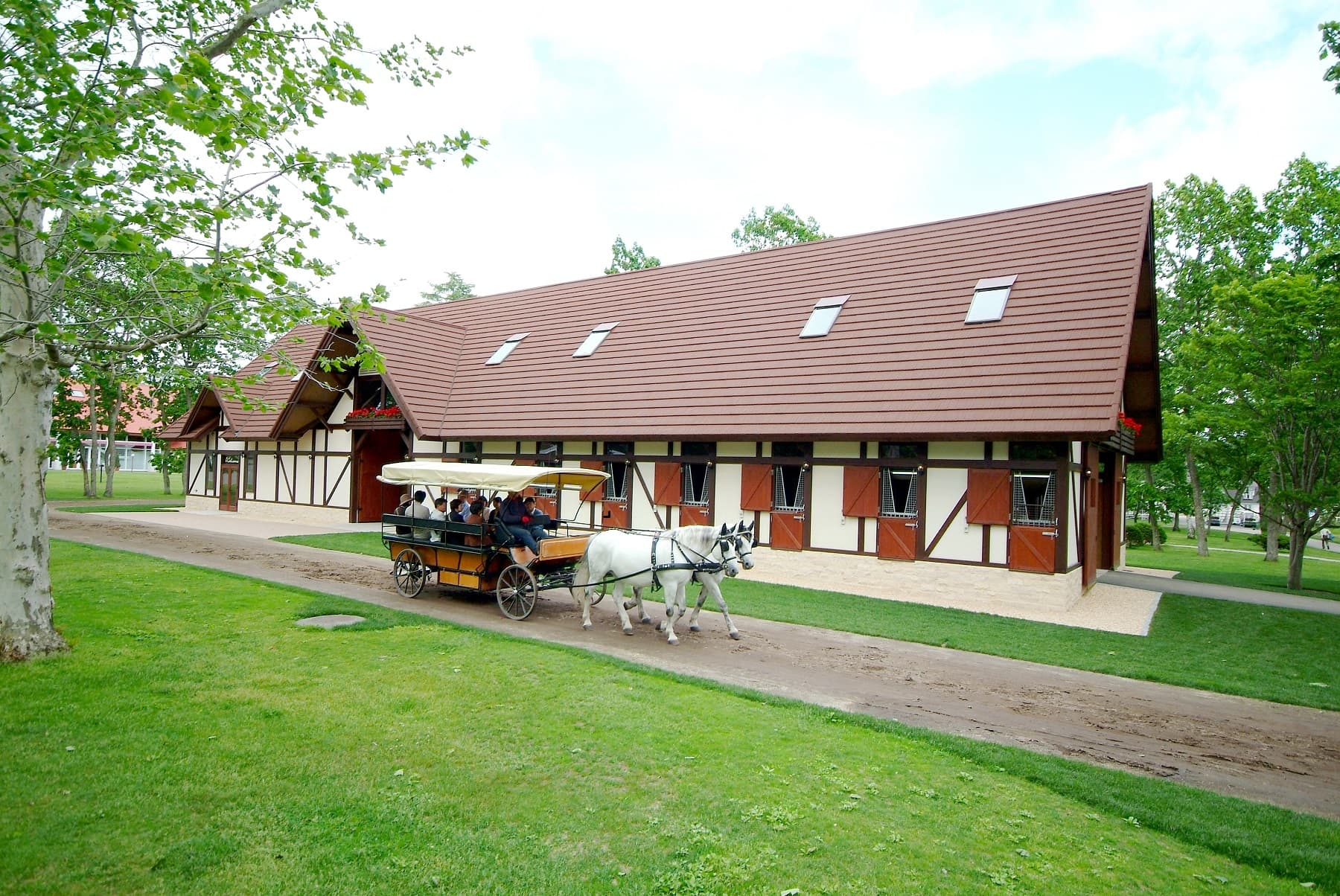 Northern Horse Park