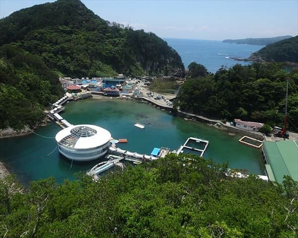 Shimoda Park cover image
