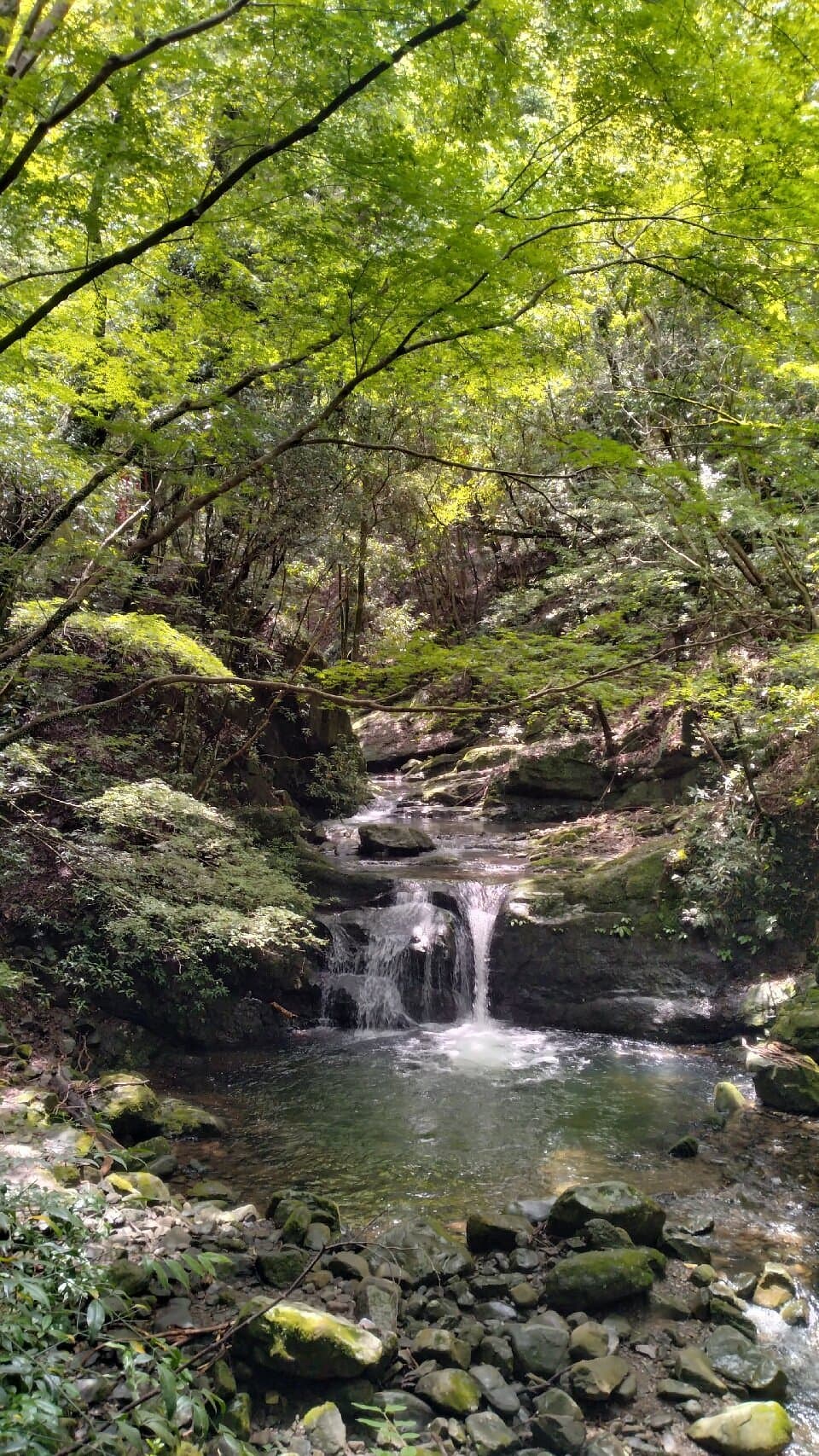 Mt. Inunaki