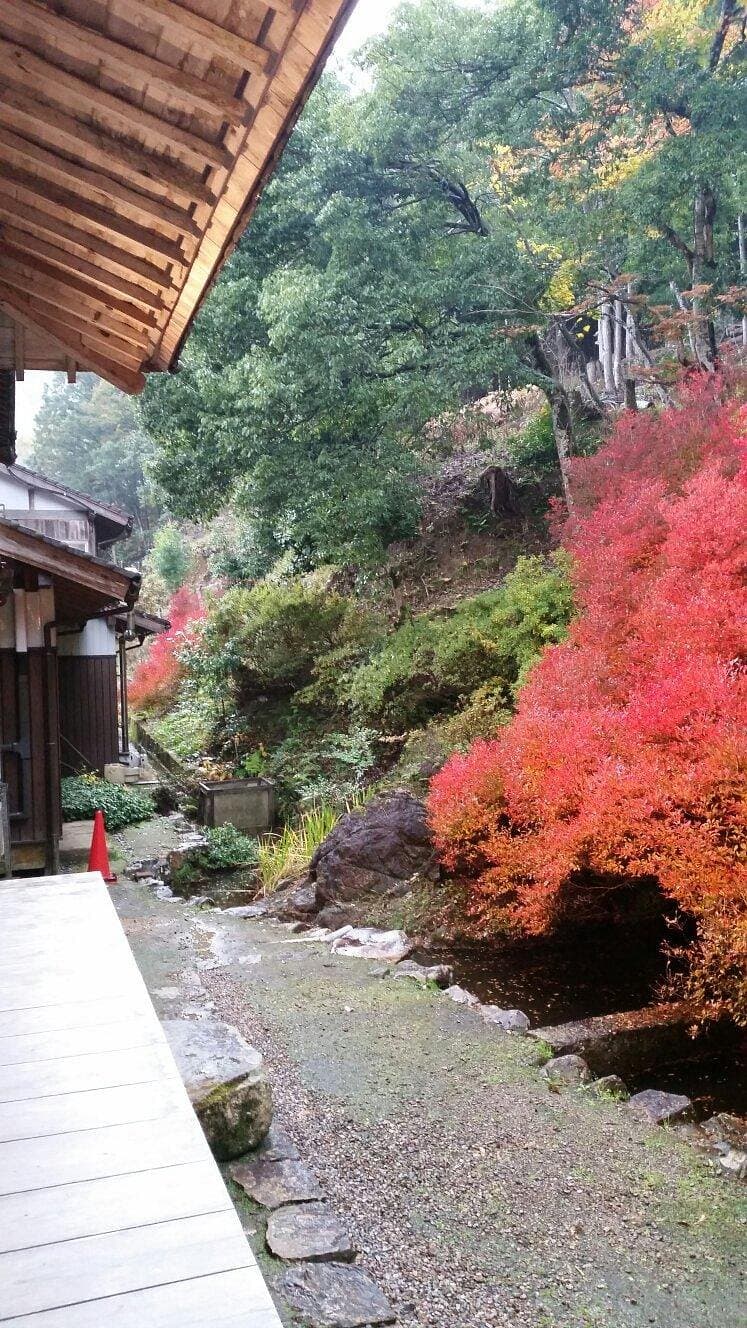 Ankokuji Temple cover image
