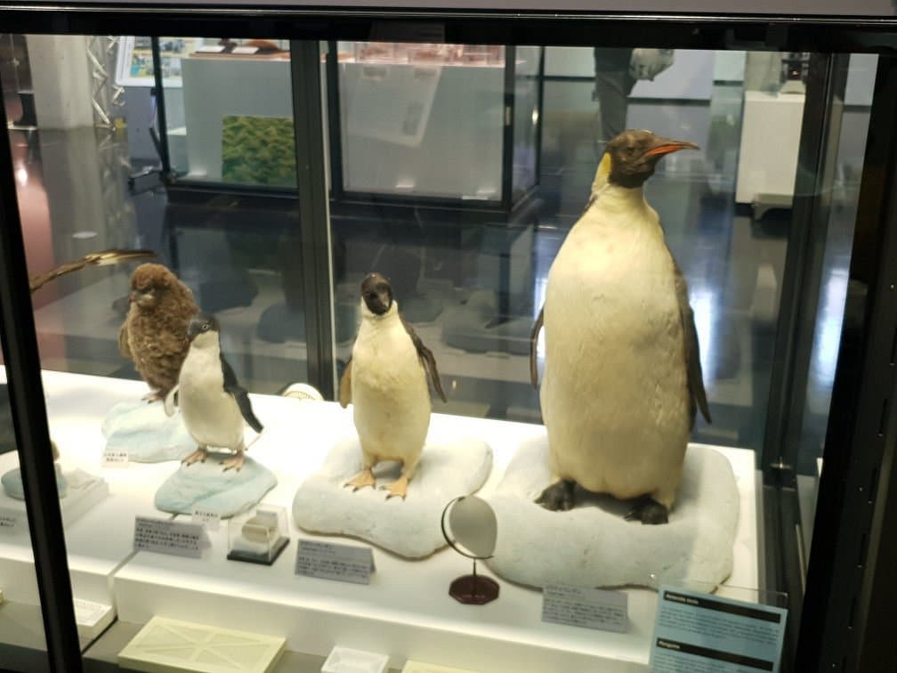 Polar Science Museum cover image