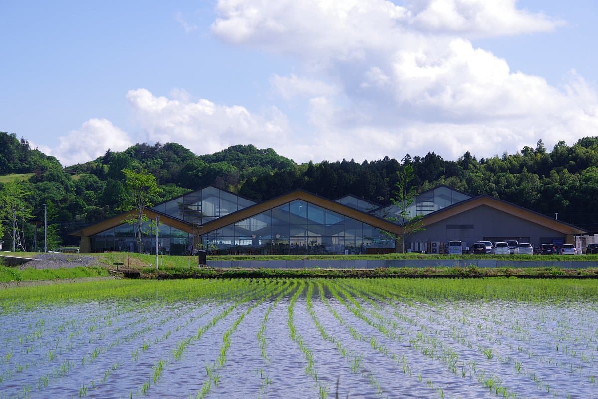 Michi-no-Eki Mashiko cover image