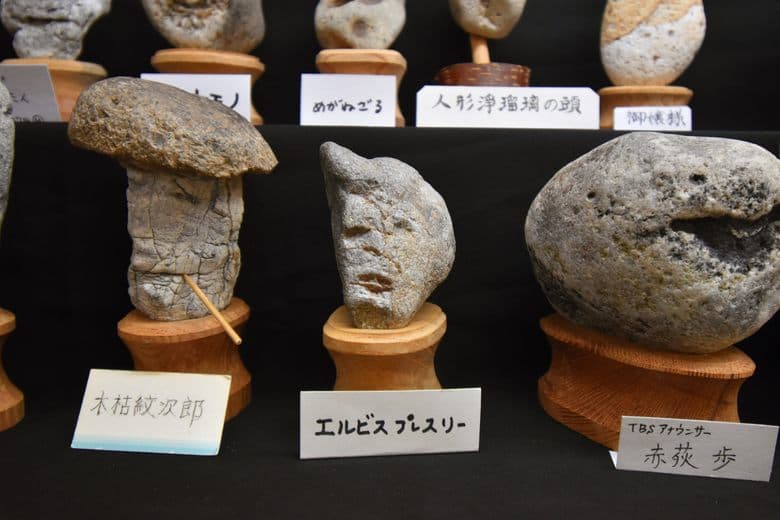 Chichibu Chinsekikan (Hall of Curious Rocks) cover image