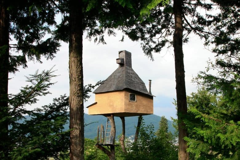 Fujimori Tea Houses cover image