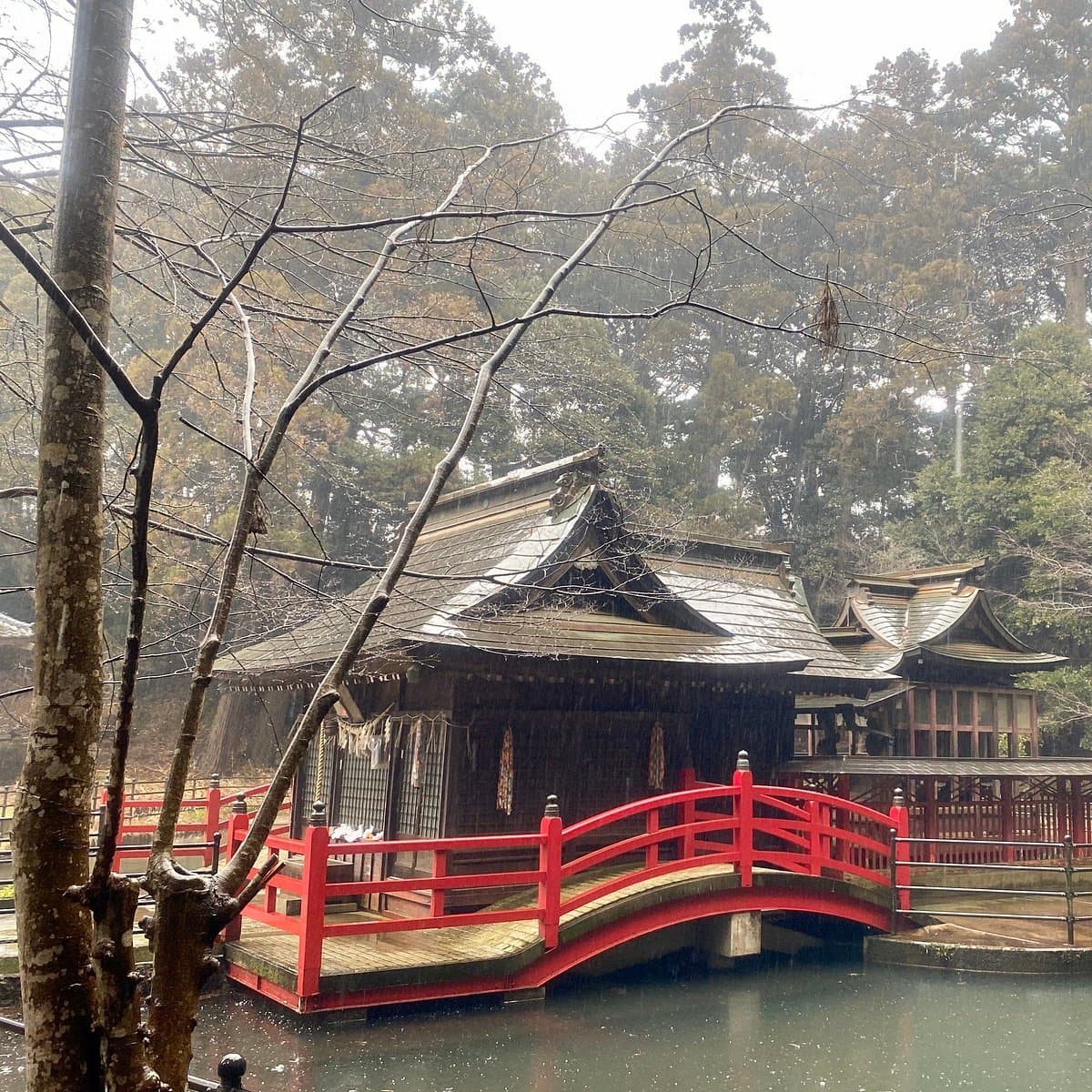 Itsukushima Shrine cover image