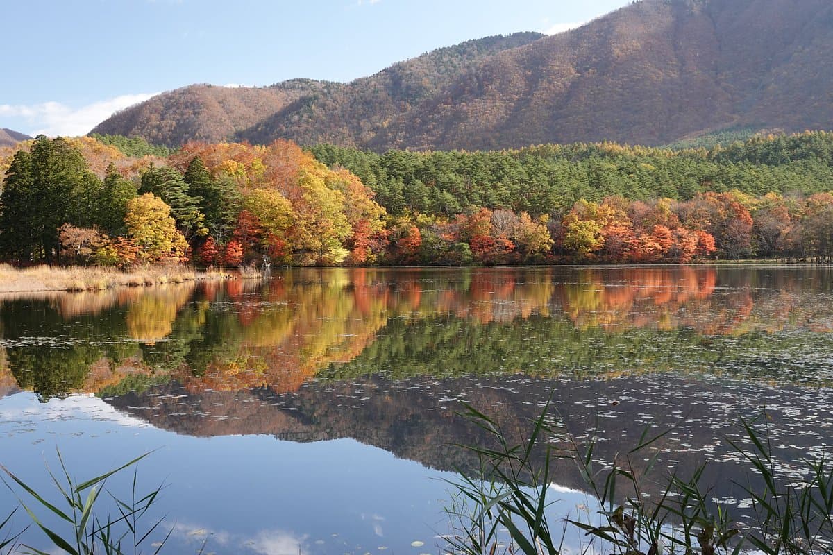Kannonnuma Forest Park cover image