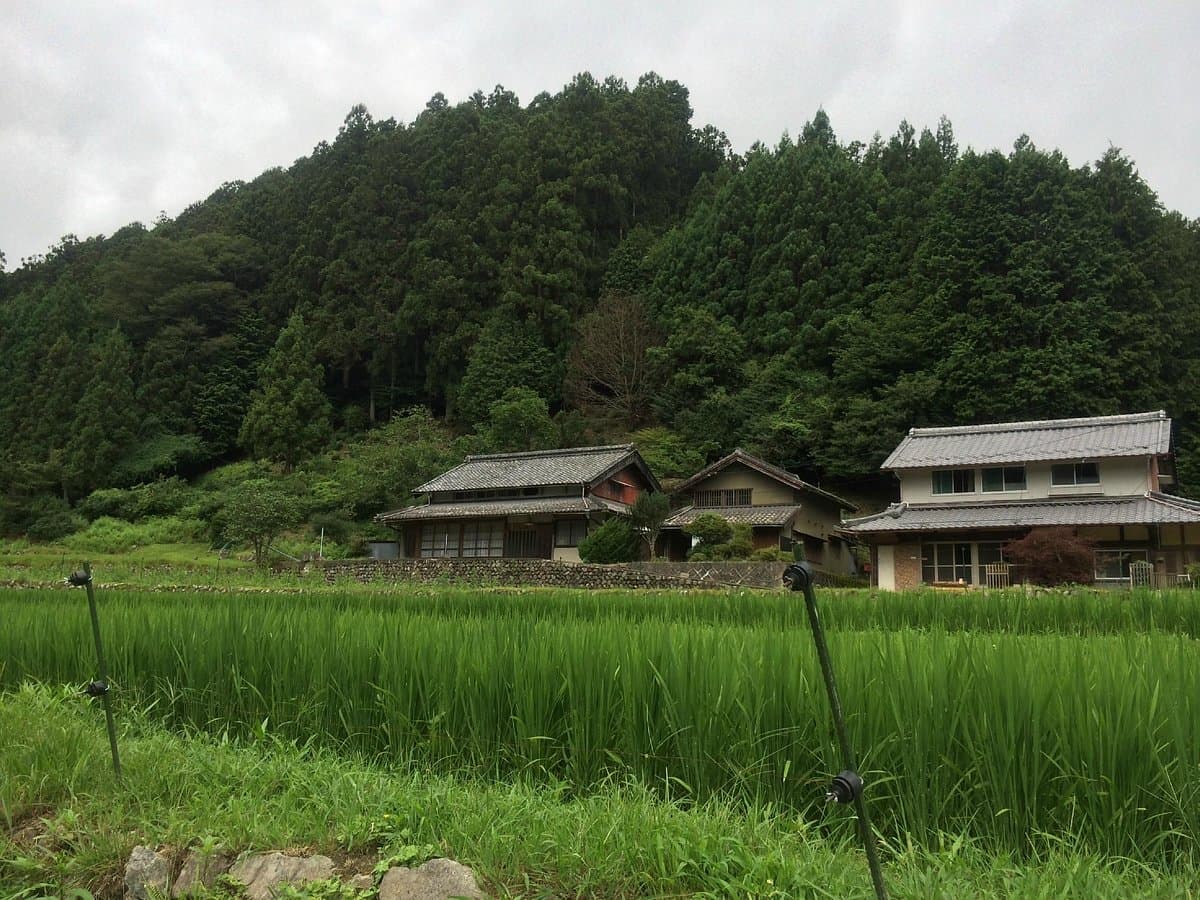 Roadside Station Misugi