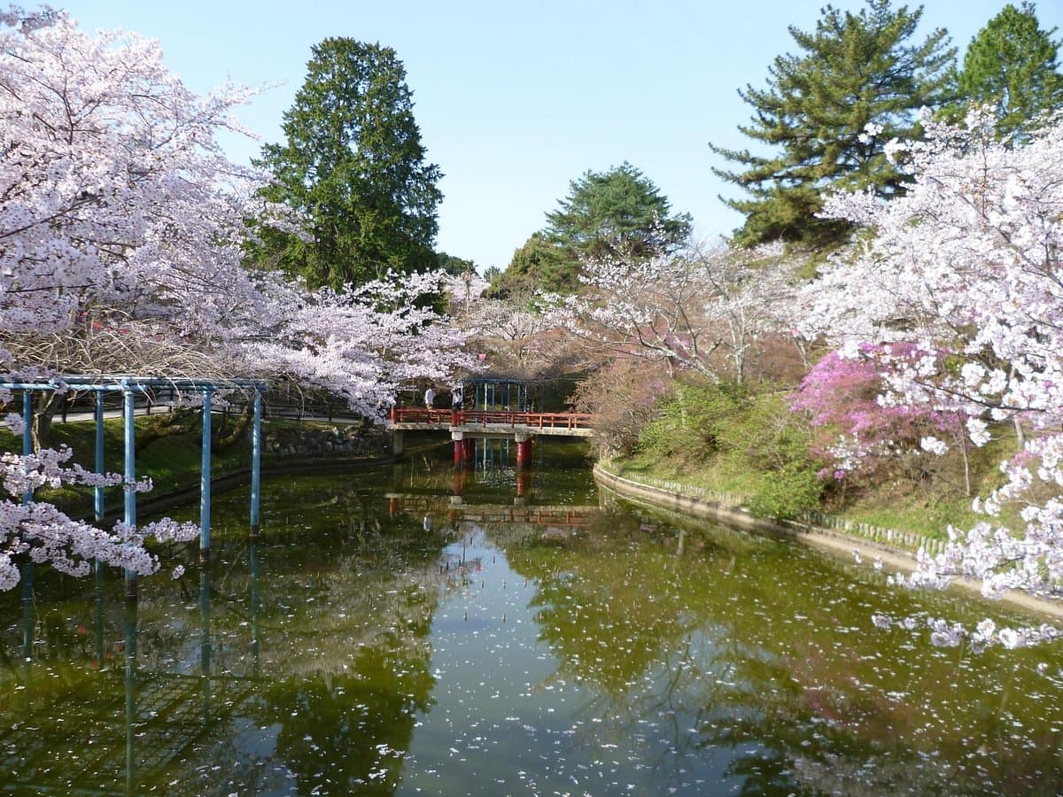 Tsu Kairaku Park