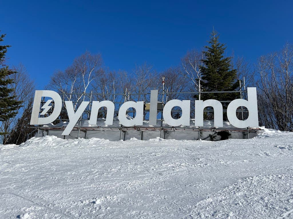 DynaLand