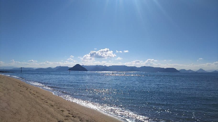 Shibukawa Coast cover image