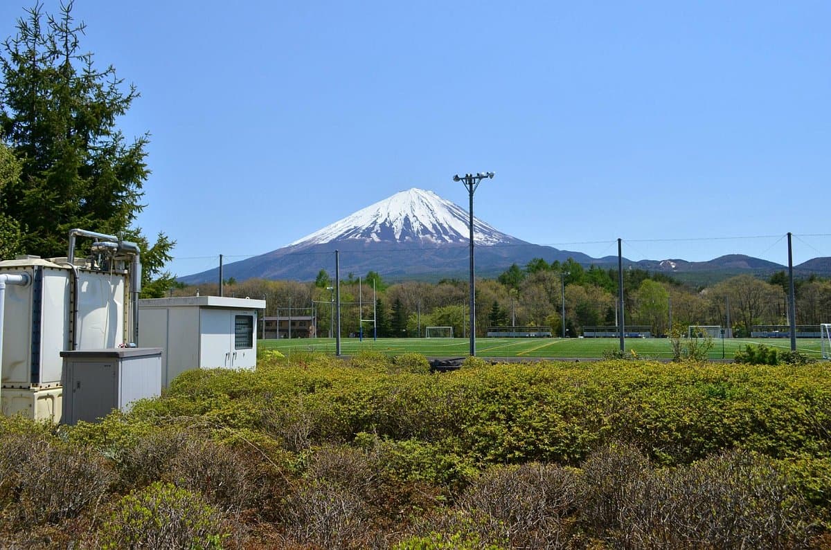 Michi-no-Eki Narusawa cover image