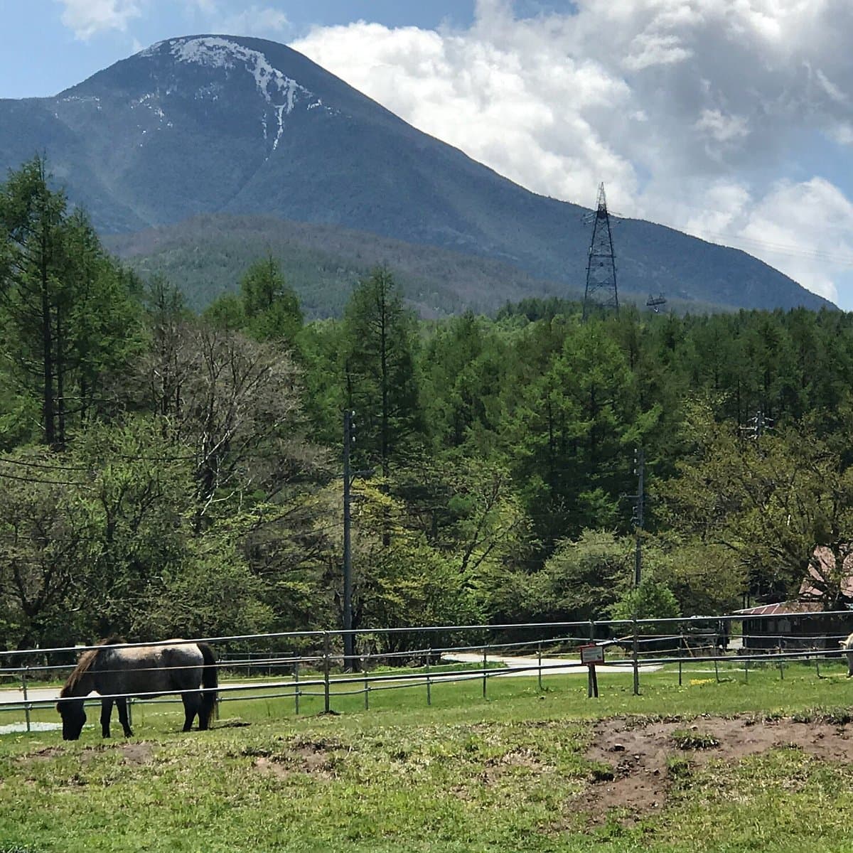 Nagato Farm cover image