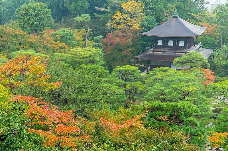 Ginkakuji Temple cover image