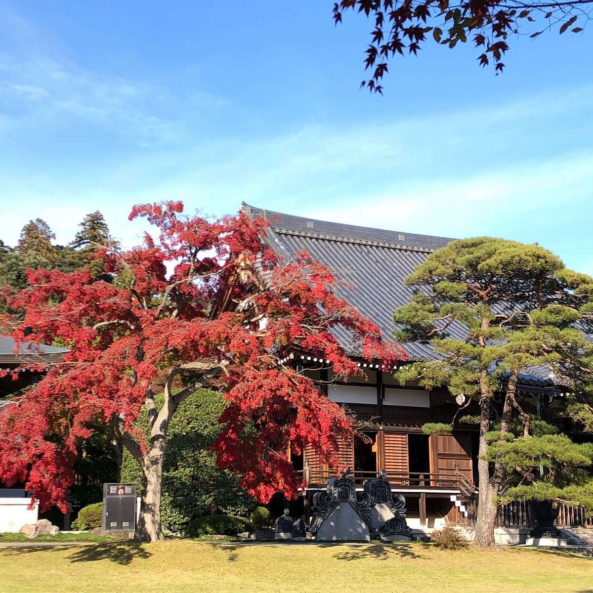 Noninji Temple cover image