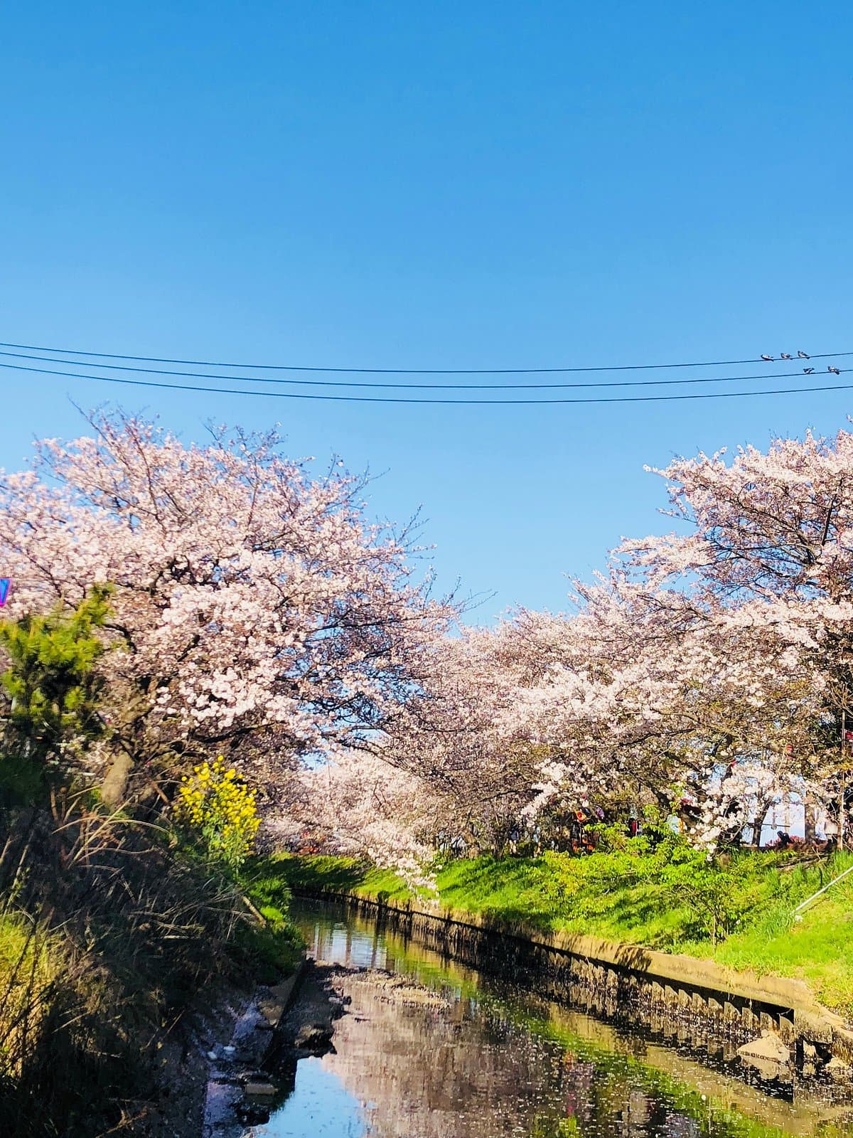 Ebi River