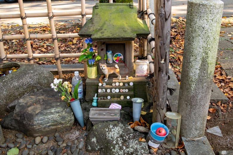 Hachikō's Grave cover image