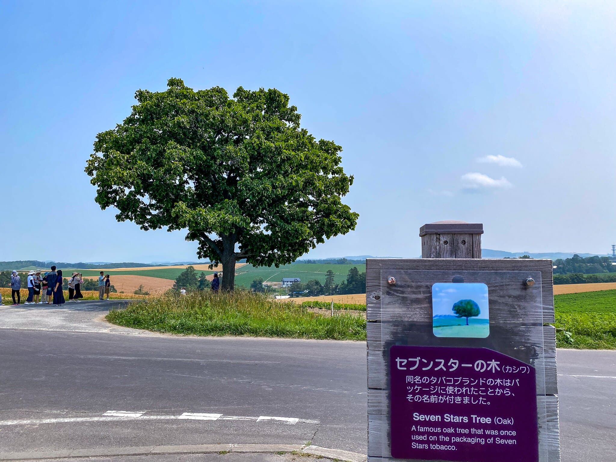 Seven Stars Tree