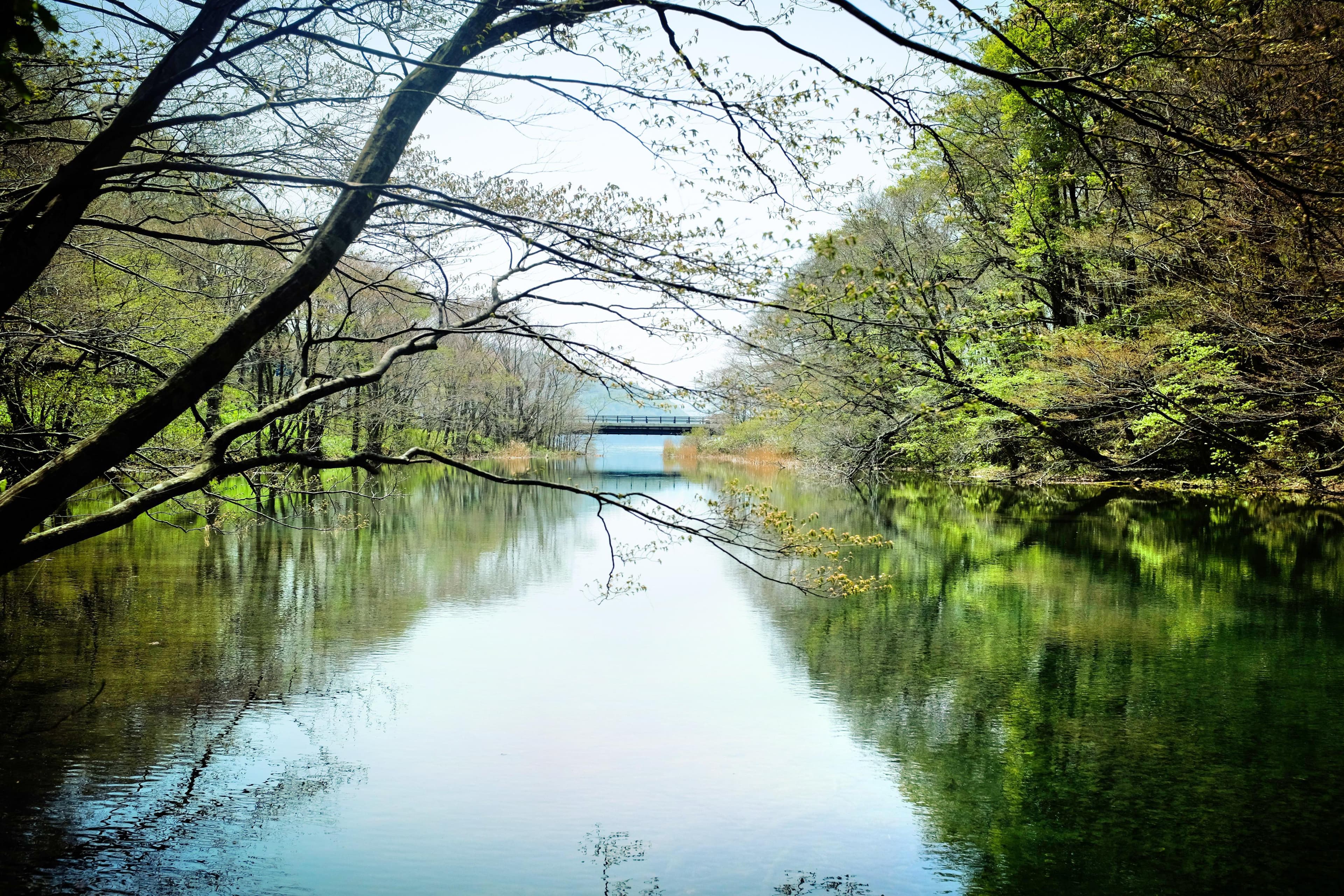 Lake Towada