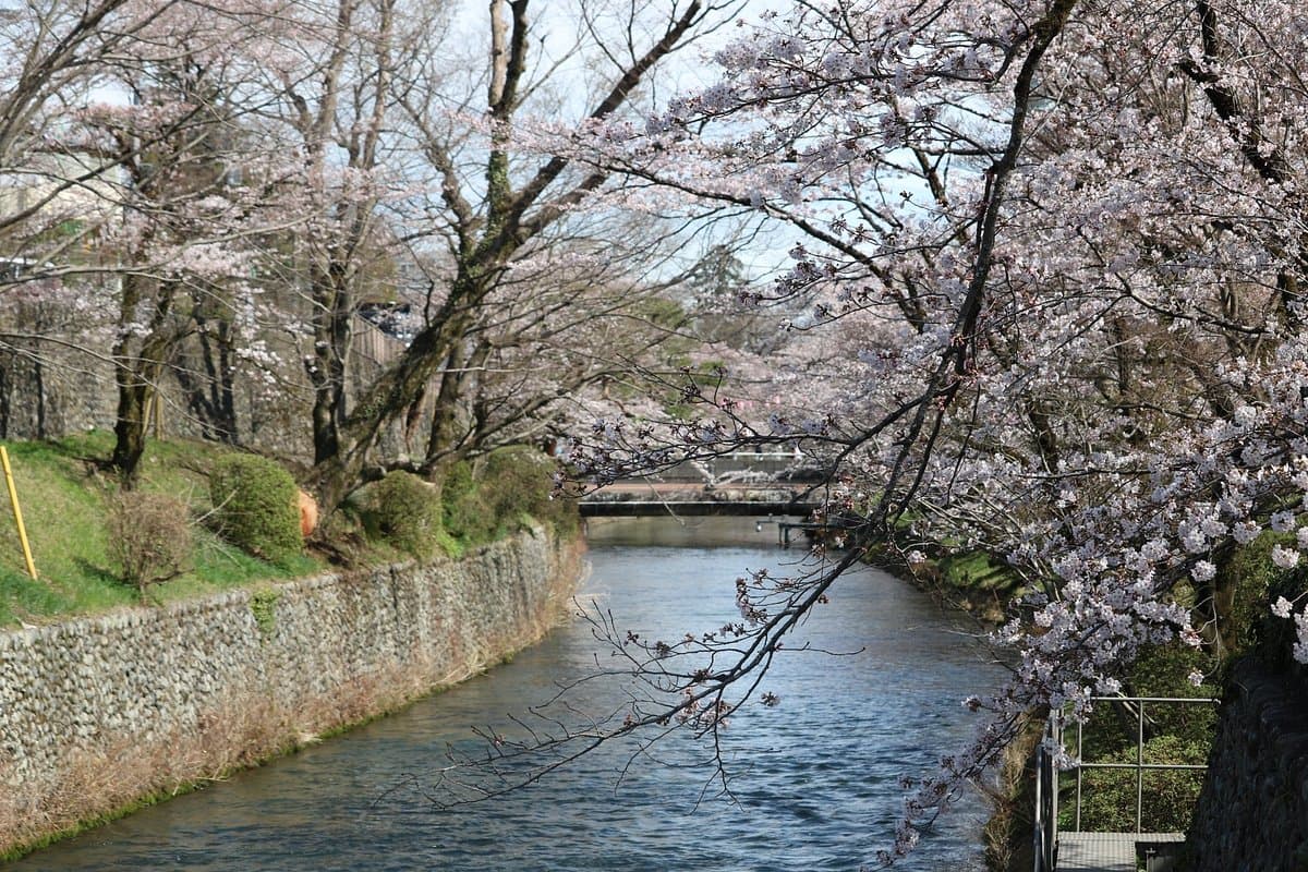 Hamura Syusuiseki cover image