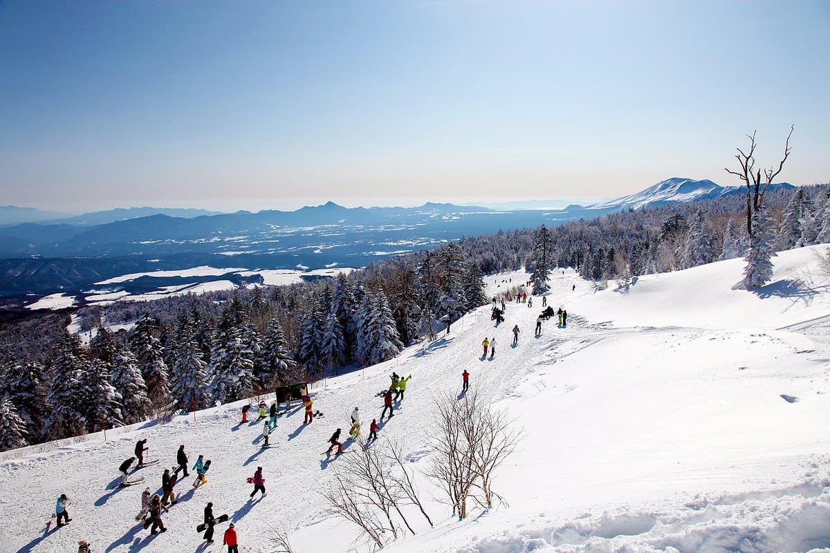 Palcall Tsumagoi Ski Resort cover image