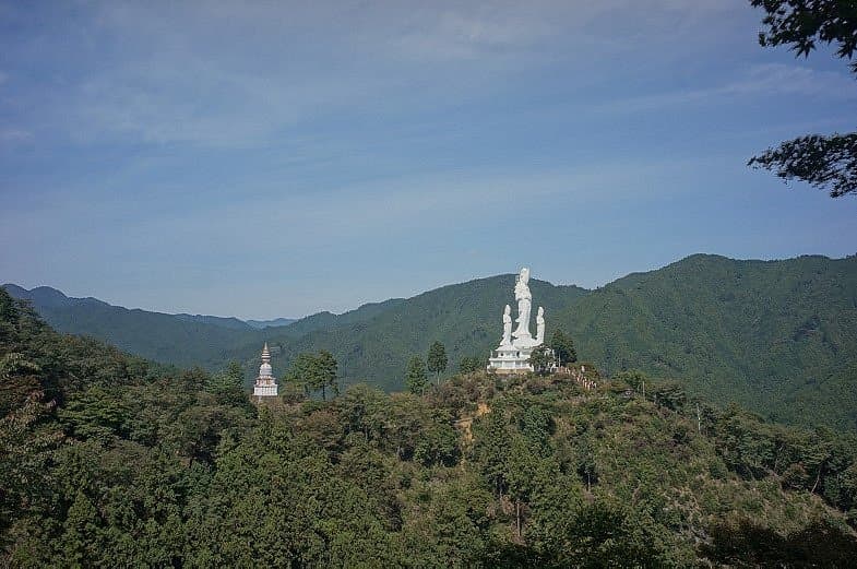 Torii Kannon cover image