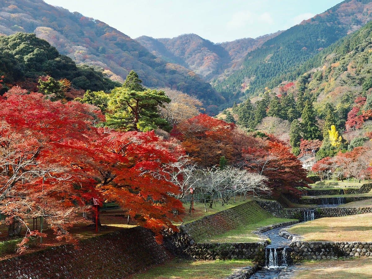 Yoro Park
