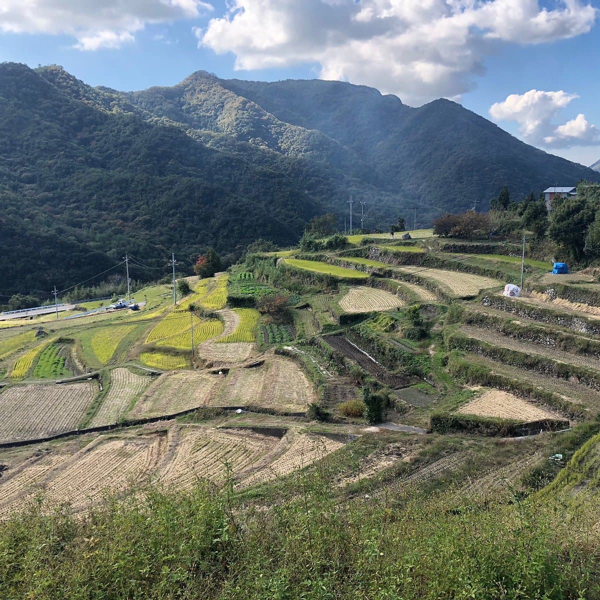 Nakayama Senmaida cover image