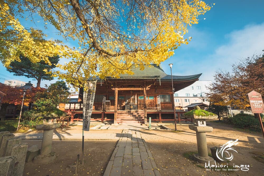 Hidakochi