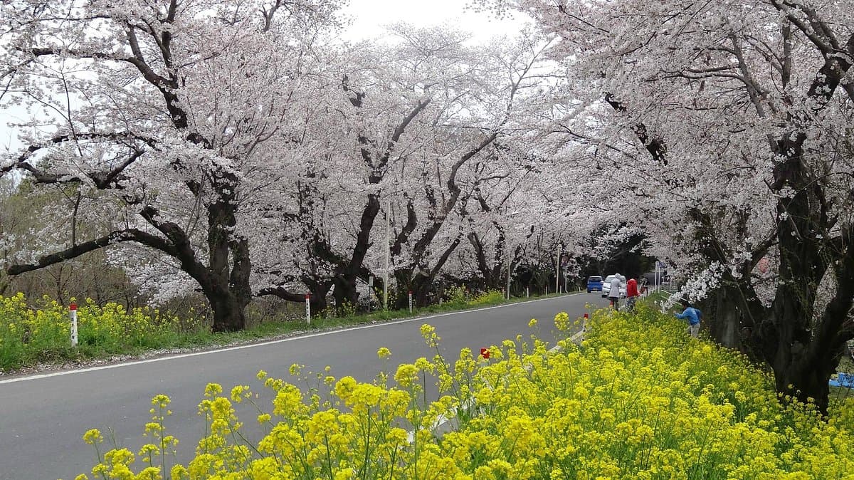 Kitamoto Nature Observation Park cover image