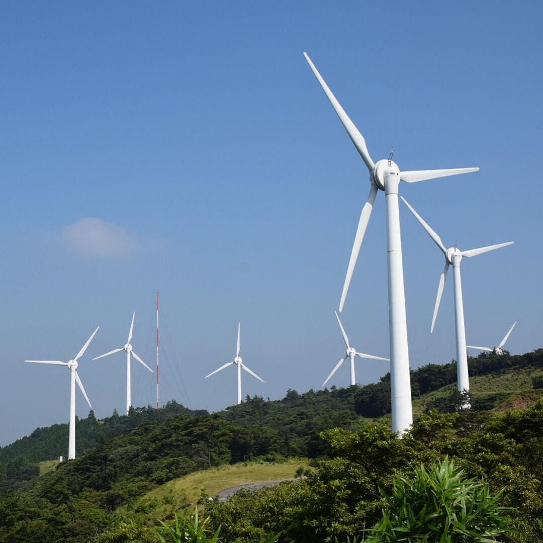 Aoyama Mountain Plateau cover image