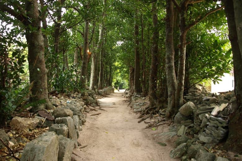 Bise Village