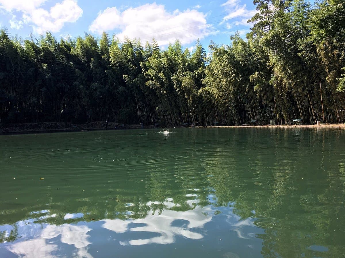 Susono Fishing Park