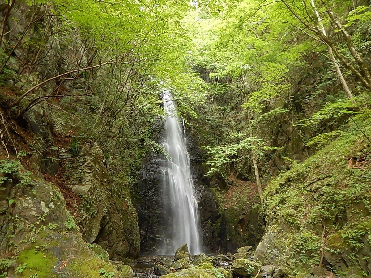 Hyakuhironotaki Falls cover image