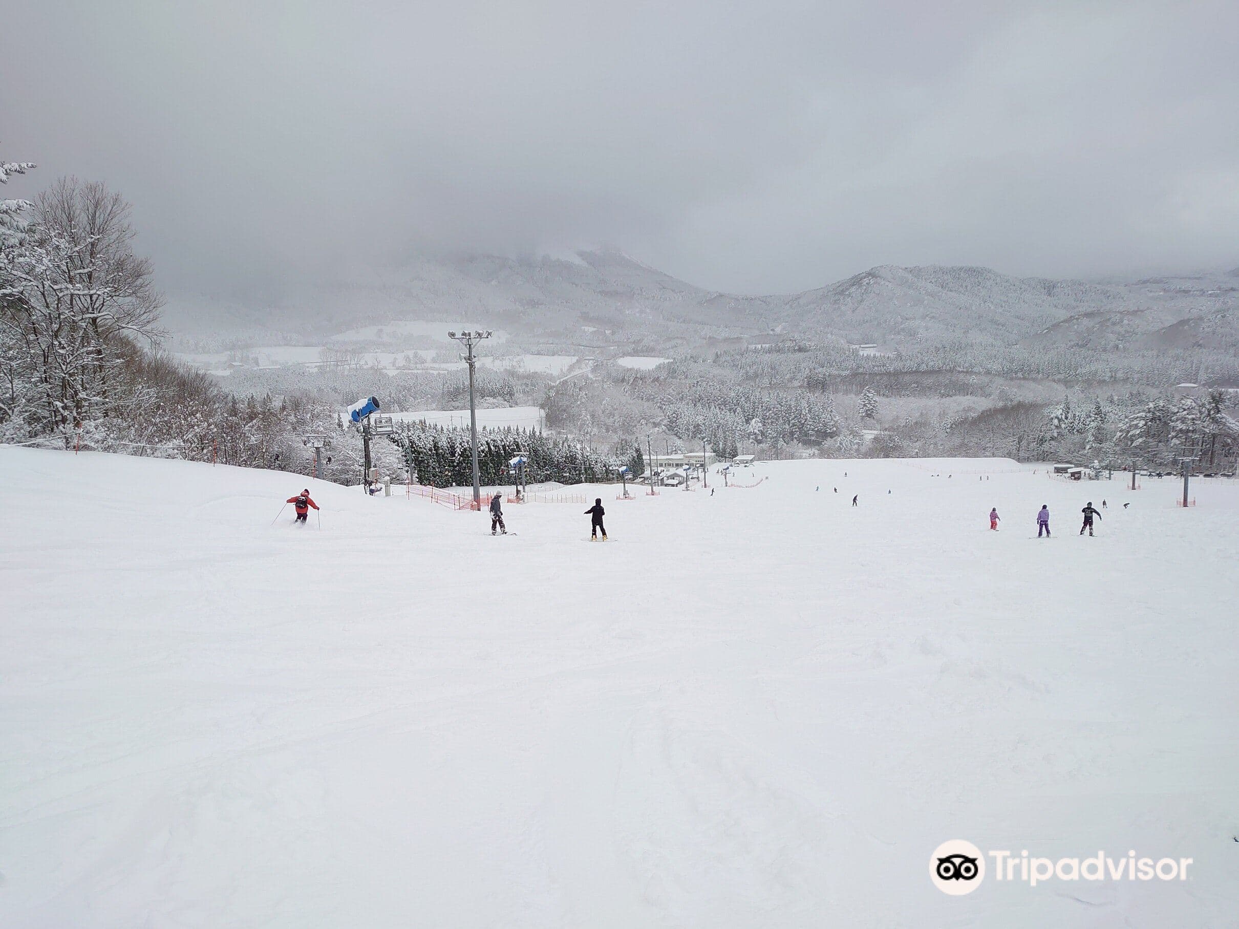 Bear Valley Ski Resort