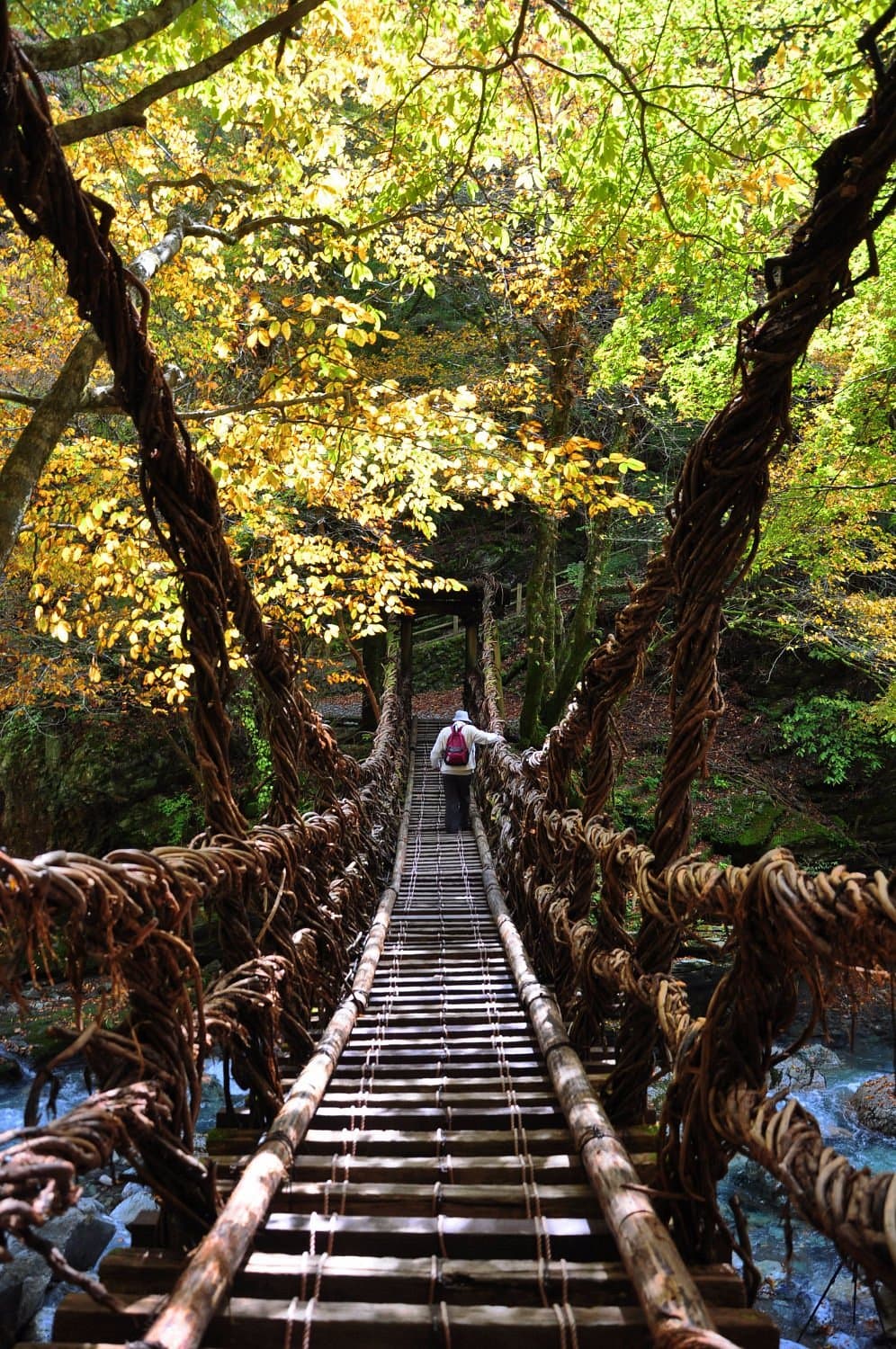 Okuiya Niju Kazurabashi Bridge