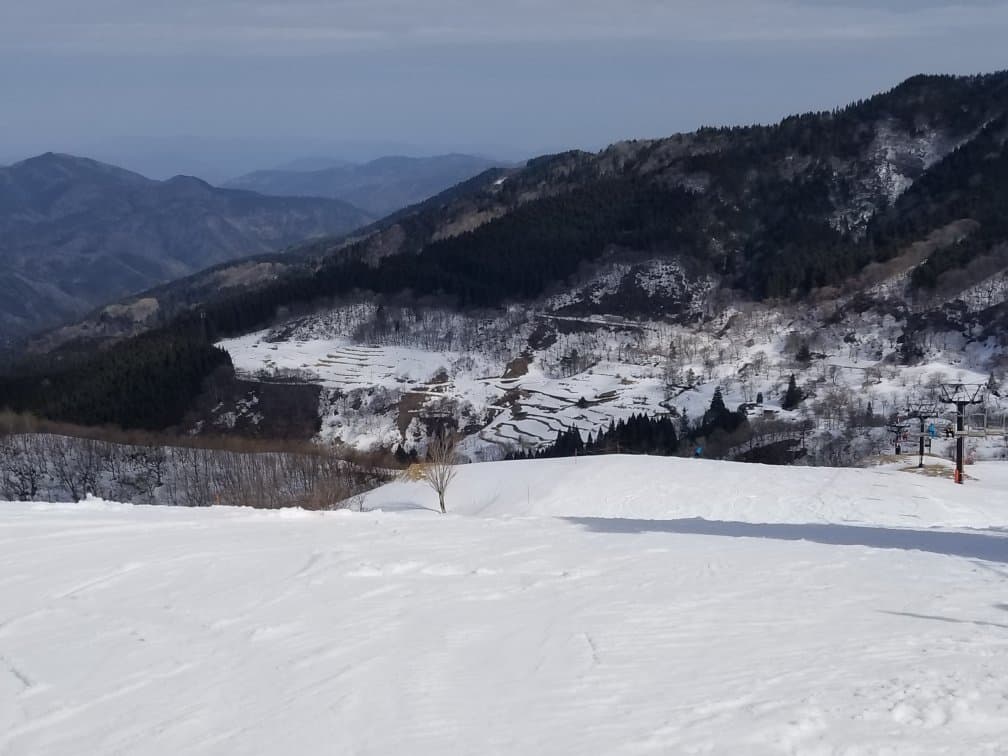 Hyper Bowl Tohachi